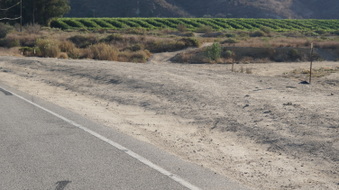 Enlarge photo 31