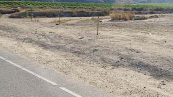 Enlarge photo 32