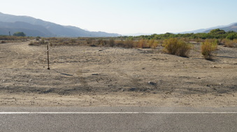 Enlarge photo 34