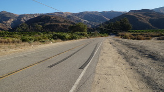 Enlarge photo 36