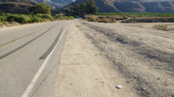Enlarge photo 37