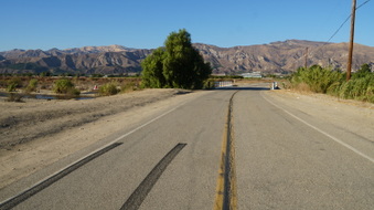 Enlarge photo 41