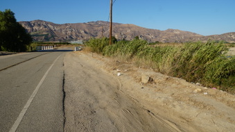 Enlarge photo 43