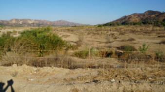 Enlarge photo 44