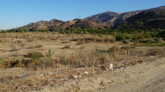 Enlarge photo 45