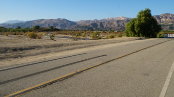 Enlarge photo 51