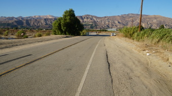 Enlarge photo 52