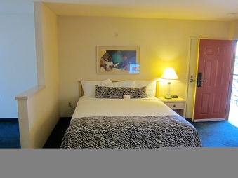 Enlarge photo 42