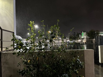 Enlarge photo 139