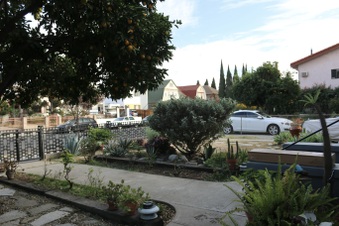 Enlarge photo 4