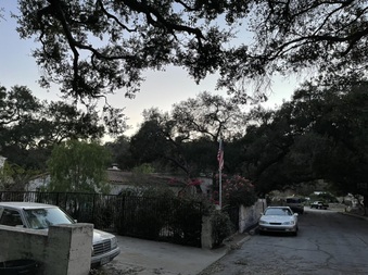 Enlarge photo 23