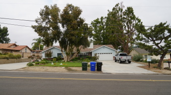 Enlarge photo 3