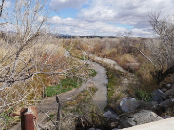 Enlarge photo 13