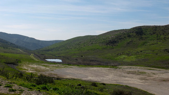 Enlarge photo 29