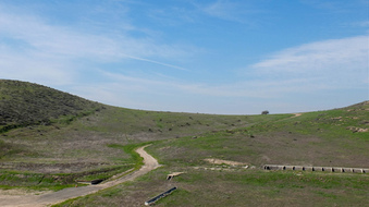 Enlarge photo 31