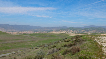 Enlarge photo 34