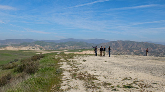 Enlarge photo 35