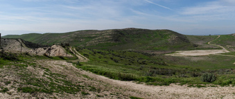 Enlarge photo 40
