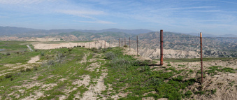 Enlarge photo 42