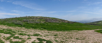 Enlarge photo 43