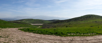 Enlarge photo 44