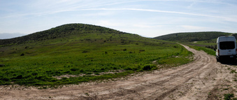 Enlarge photo 45