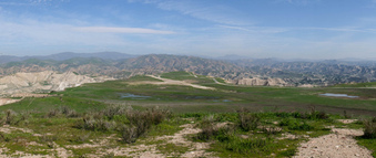 Enlarge photo 46