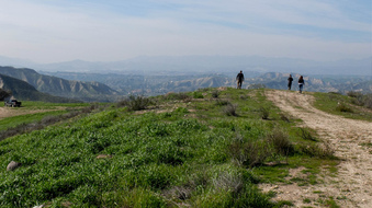Enlarge photo 49