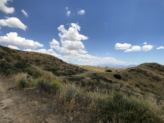 Enlarge photo 9