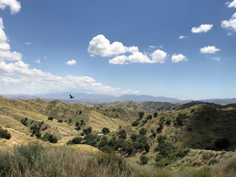 Enlarge photo 12