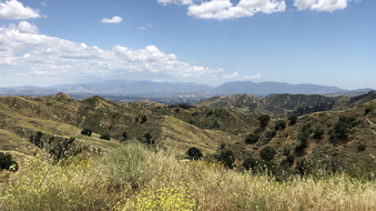 Enlarge photo 16