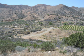 Enlarge photo 11