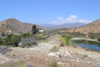 Enlarge photo 13