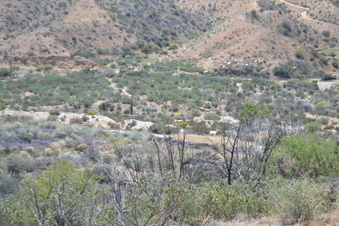 Enlarge photo 15