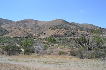 Enlarge photo 16
