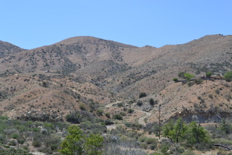 Enlarge photo 17