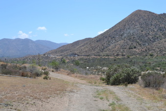 Enlarge photo 21