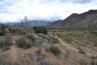 Enlarge photo 2