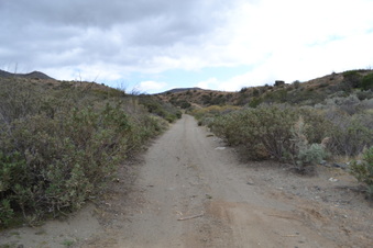 Enlarge photo 3