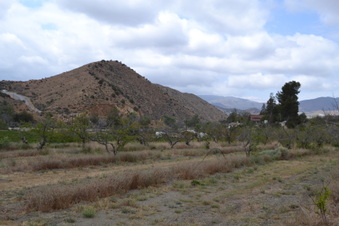 Enlarge photo 7
