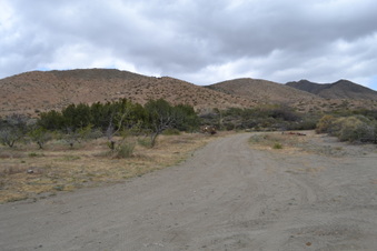 Enlarge photo 10