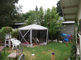 Enlarge photo 8