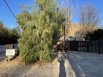 Enlarge photo 51