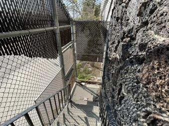 Enlarge photo 28