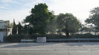 Enlarge photo 3