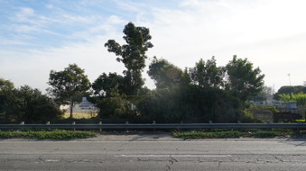 Enlarge photo 18