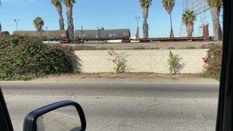 CA-103 - WEST SIDE - LONG BEACH