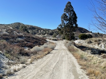 Enlarge photo 10
