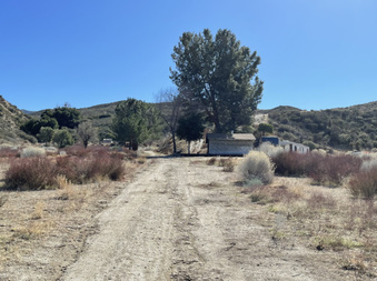Enlarge photo 21