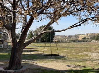 Enlarge photo 31